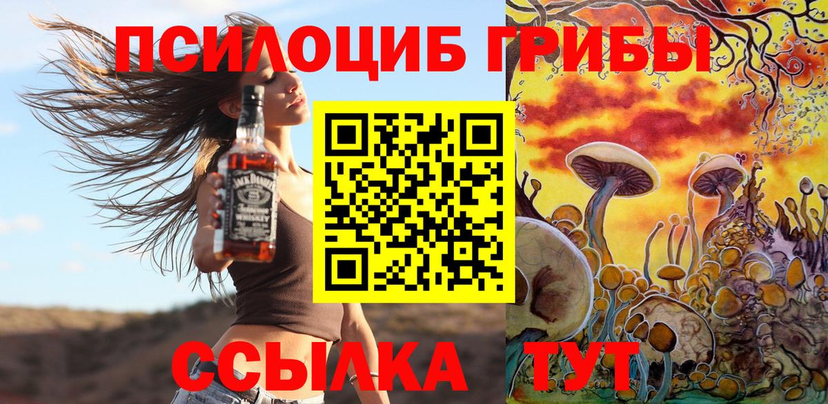 Псилоцибиновые грибы Psilocybine cubensis Владимир