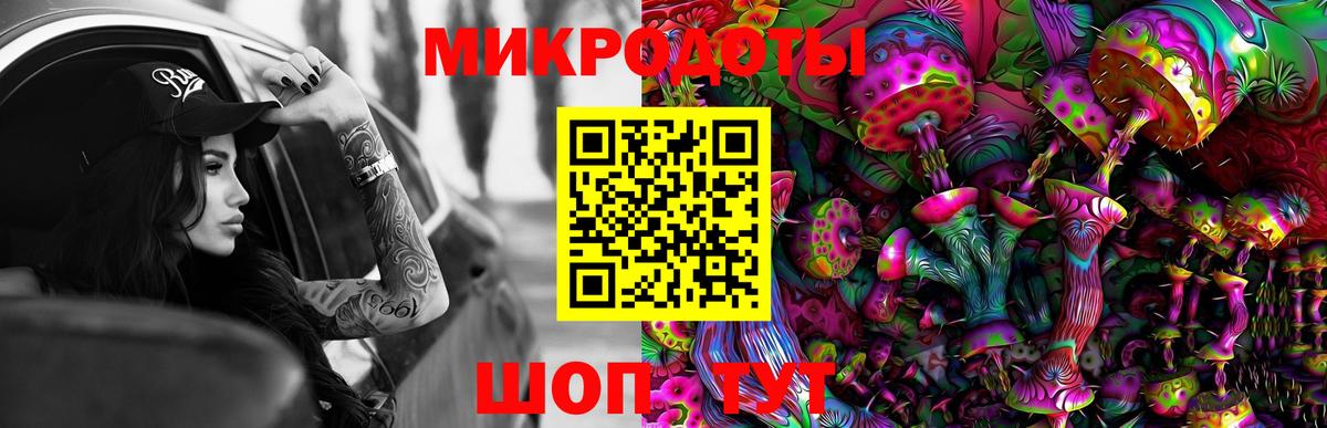 Галлюциногенные грибы ЛСД  Вход с VPN  Галлюциногенные грибы Psilocybe  Владимир 